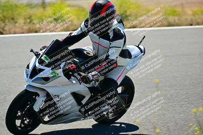 media/May-10-2024-2WTD (Fri) [[c88d7990af]]/Group C/Session 2-The Bowl/